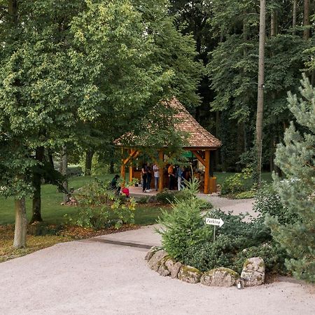Maison D'Hotes Les Jardins De Madeleine Bernardvillé Eksteriør billede