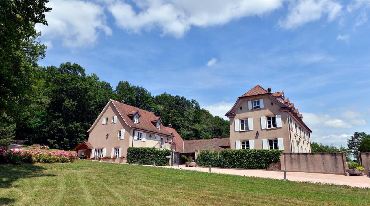 Maison D'Hotes Les Jardins De Madeleine Bernardvillé Eksteriør billede