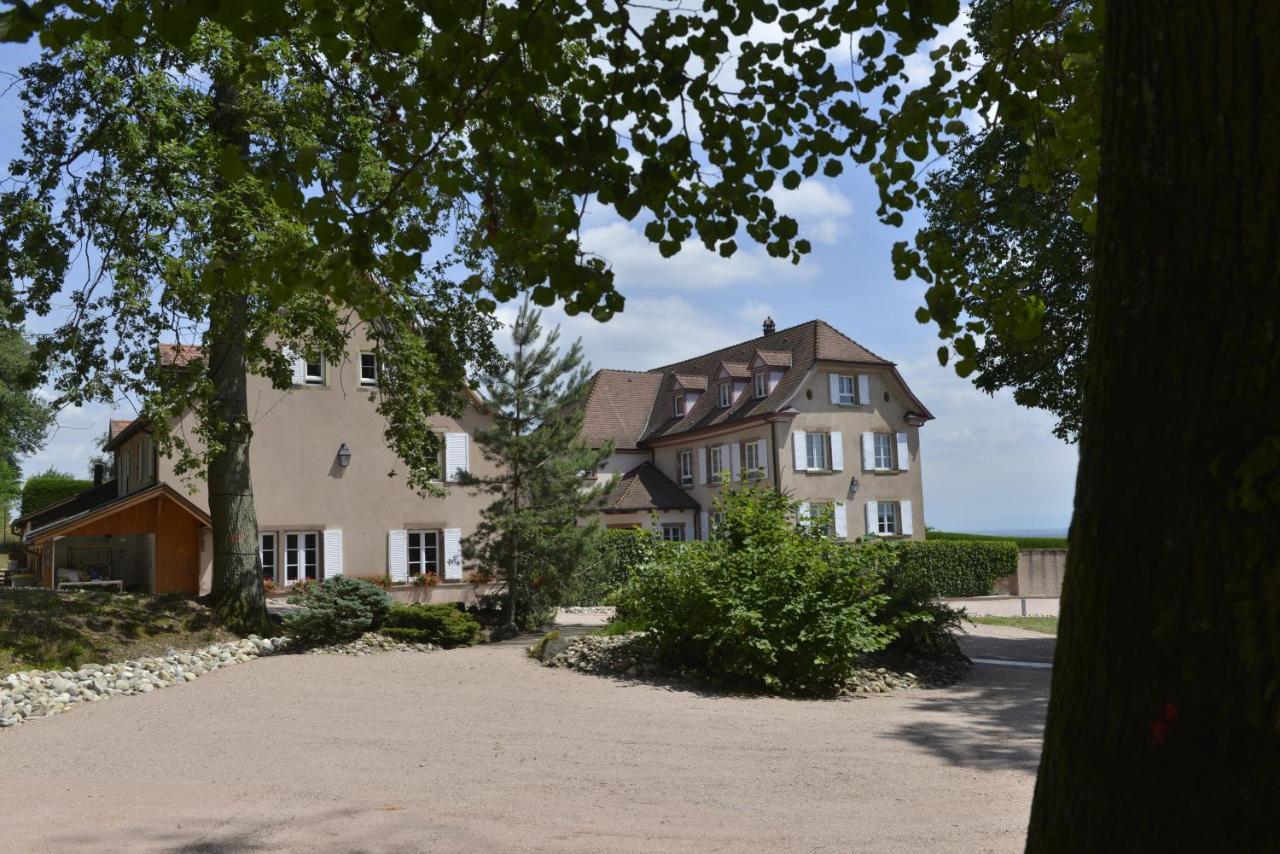 Maison D'Hotes Les Jardins De Madeleine Bernardvillé Eksteriør billede