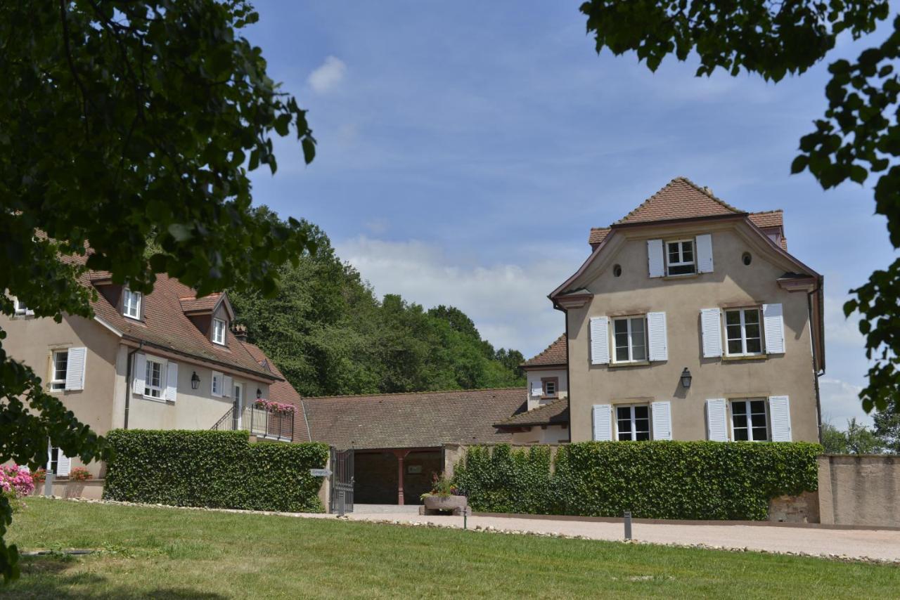 Maison D'Hotes Les Jardins De Madeleine Bernardvillé Eksteriør billede