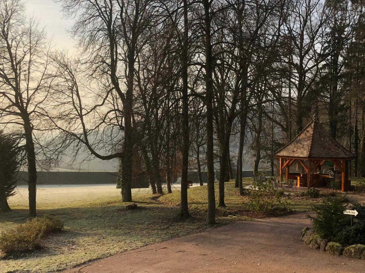 Maison D'Hotes Les Jardins De Madeleine Bernardvillé Eksteriør billede